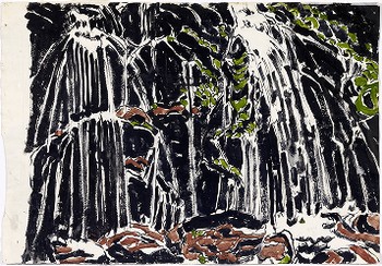 Ferns (recto); Water and Falling Over a Rock Face (verso)