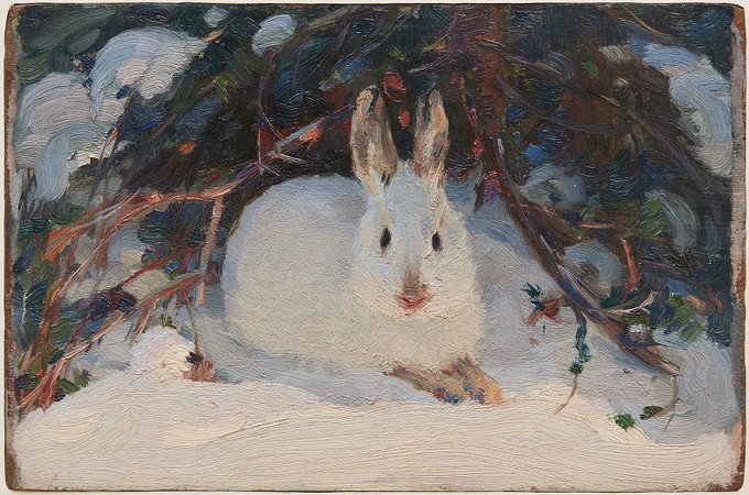 Study of a Hare in Winter