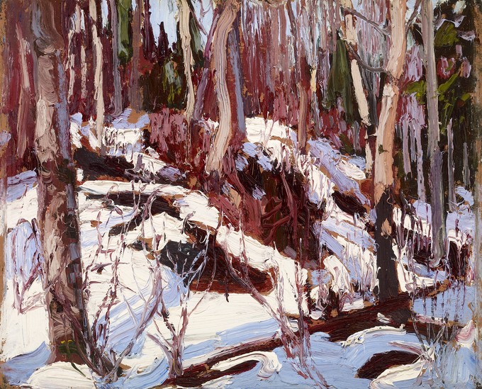 Winter Thaw in the Woods