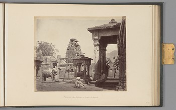 [Kangra; Stone Bullocks in Temple at Byjnath]   from The Sutlej - Indian Groups etc.