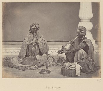 [Snake Charmers]   from The Sutlej - Indian Groups etc.
