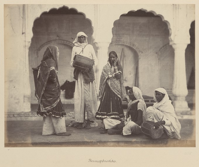 Hermaphrodites   from The Sutlej - Indian Groups etc.