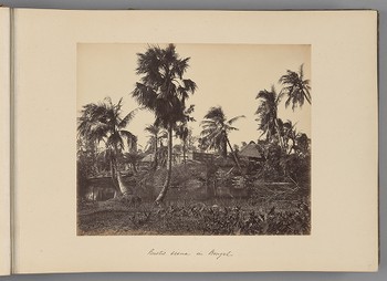 Rustic scene in Bengal   from Indian Views