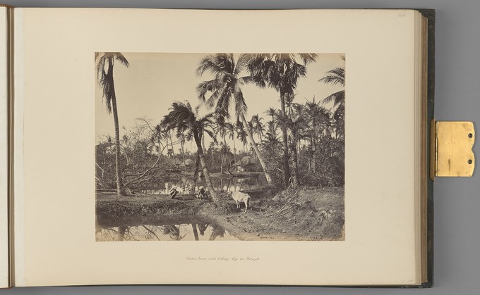 [Calcutta; Rustic Scene and Village Life in Bengal]   from Indian Architecture and Scenery, Vol. 1