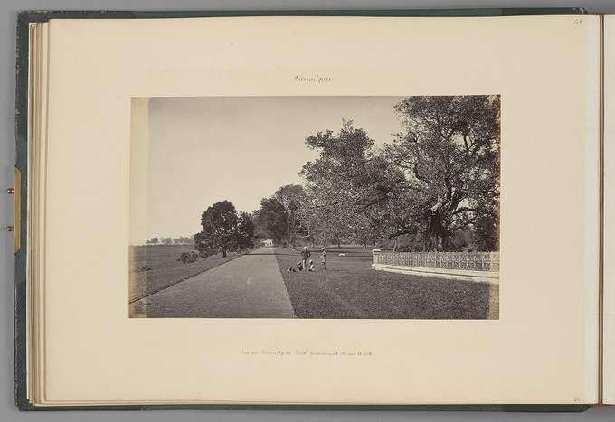 [Calcutta; Government House Walk, Barrackpore Park]   from Indian Architecture and Scenery, Vol. 1