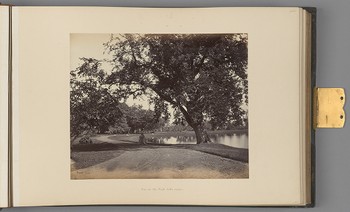[Calcutta; Lake scene in Barrackpore Park]   from Indian Architecture and Scenery, Vol. 1