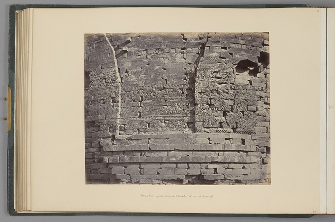 [Benares; Floral Carving on Ancient Buddhist Tower at Sarnath]   from Indian Architecture and Scenery, Vol. 1