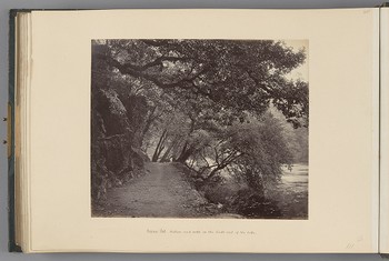 [Nynee Tal; Willows and rocks at the South end of the lake]   from Himalayas