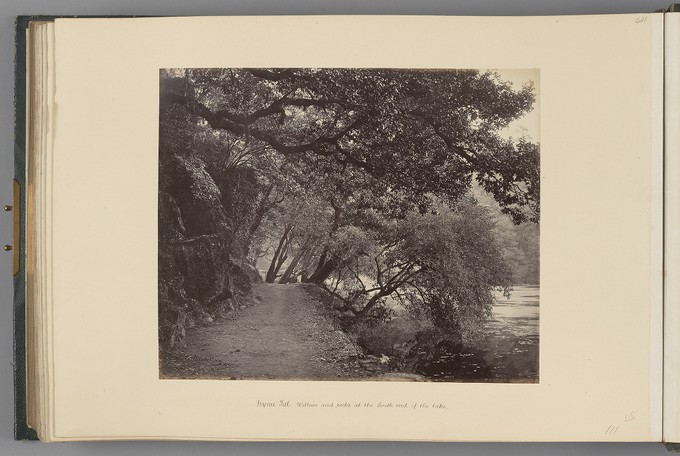 [Nynee Tal; Willows and rocks at the South end of the lake]   from Himalayas