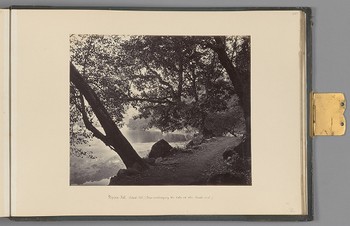 [Nynee Tal; Artists' "bit", trees overhanging the lake at the South end]   from Himalayas
