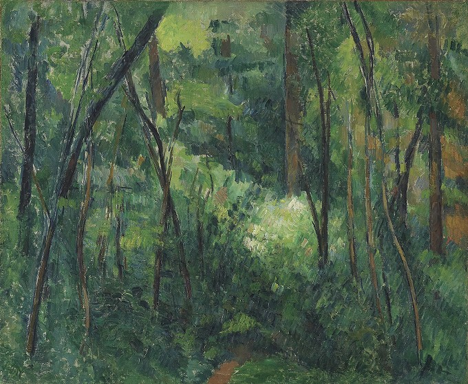 Interior of a forest
