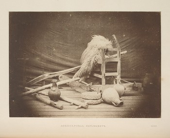 [Agricultural Implements, Egypt]