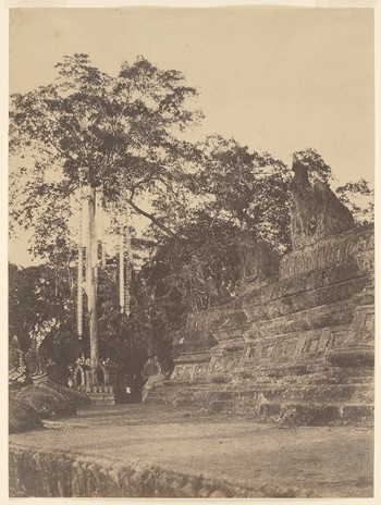 Rangoon. The Votive Tree, (Shwe Dagon Pagoda)
