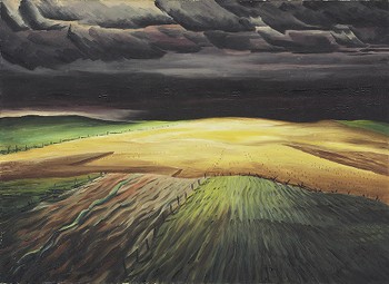 Storm over the Fields