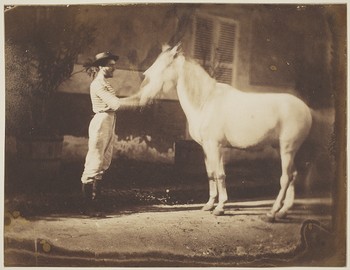 [Man holding a horse by the bridle]