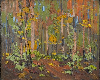 Woodland Interior - Fall