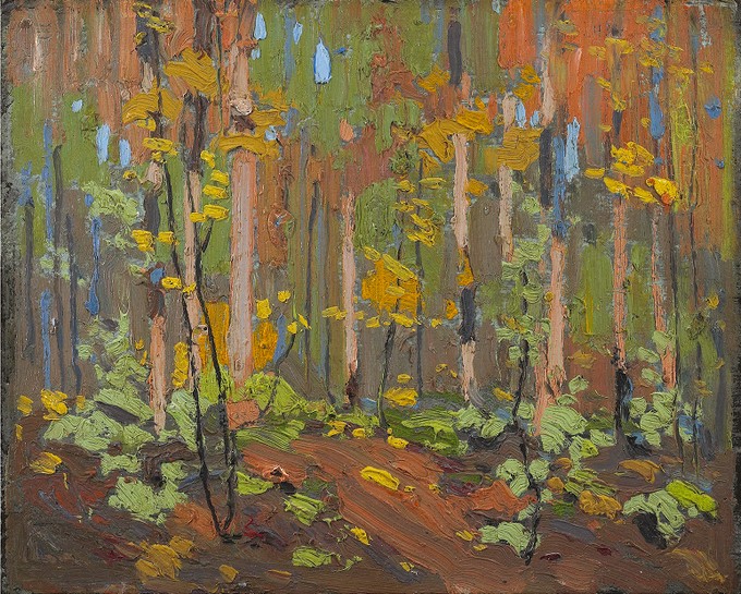 Woodland Interior - Fall